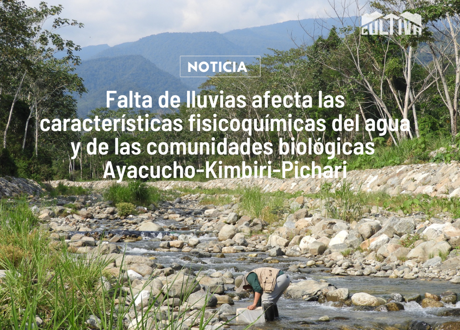 Ayacucho-Kimbiri-Pichari: Falta de lluvias afecta las características fisicoquímicas del agua y de las comunidades biológicas 