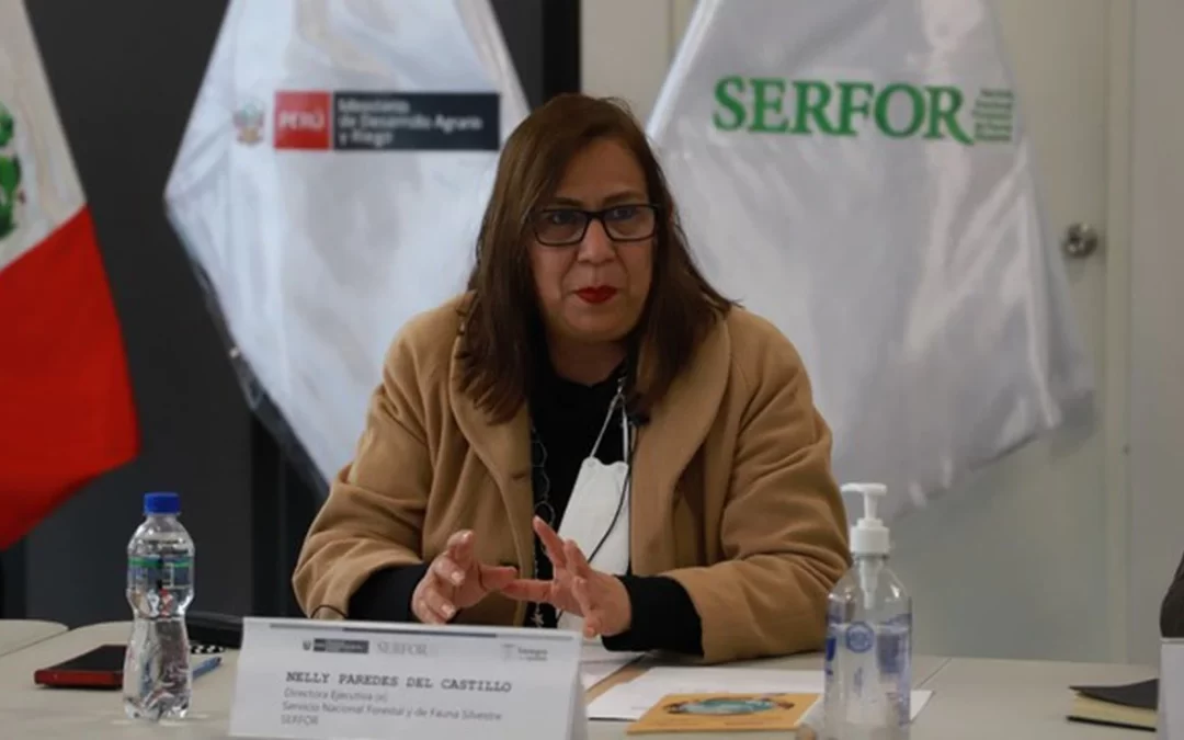 Nelly Paredes del Castillo juró como nueva ministra de Desarrollo Agrario y Riego