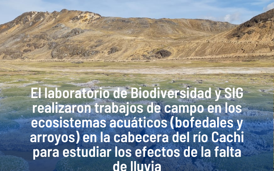 El laboratorio de Biodiversidad y SIG realizaron trabajos de campo en los ecosistemas acuáticos (bofedales y arroyos) en la cabecera del río Cachi para estudiar los efectos de la falta de lluvia.
