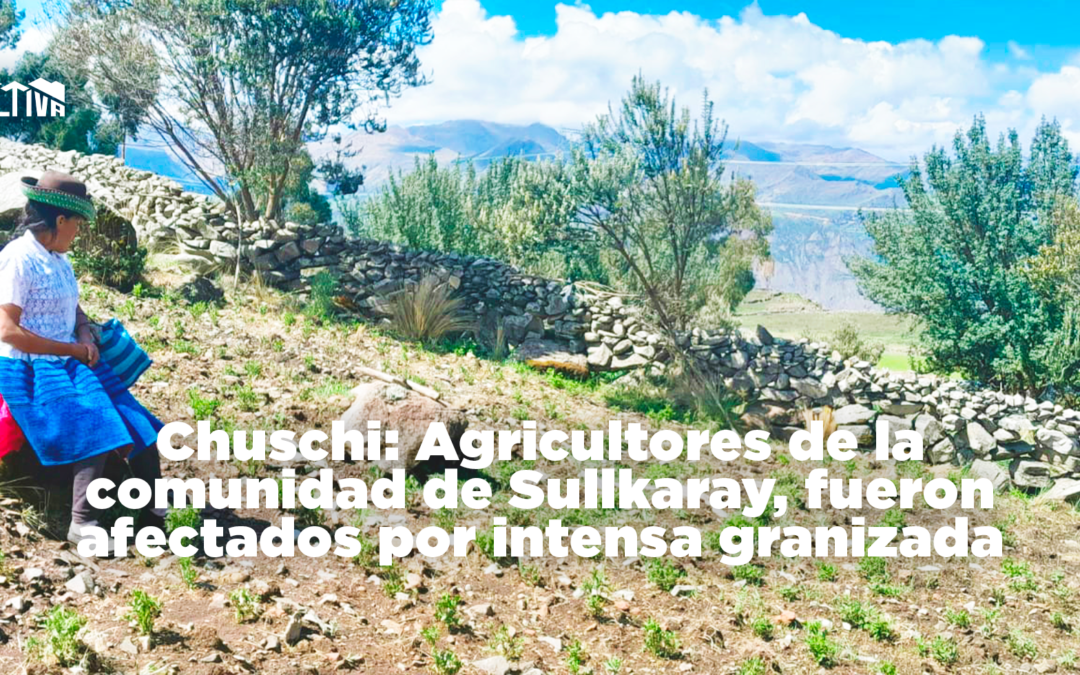 Chuschi: Agricultores de la comunidad de Sullkaray, fueron afectados por intensa granizada