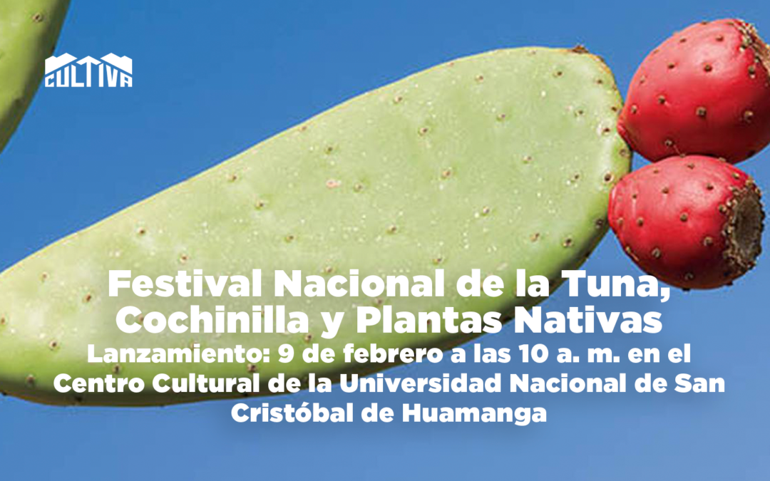 AYACUCHO: Realizarán lanzamiento del  XXIII Festival Nacional de la Tuna, Cochinilla y Plantas Nativas