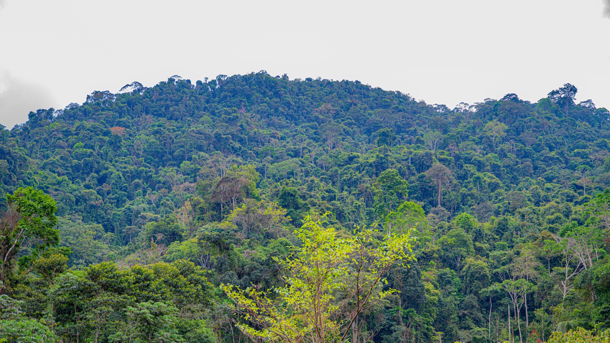 548139454_804593908746309_5026629745549044831_n